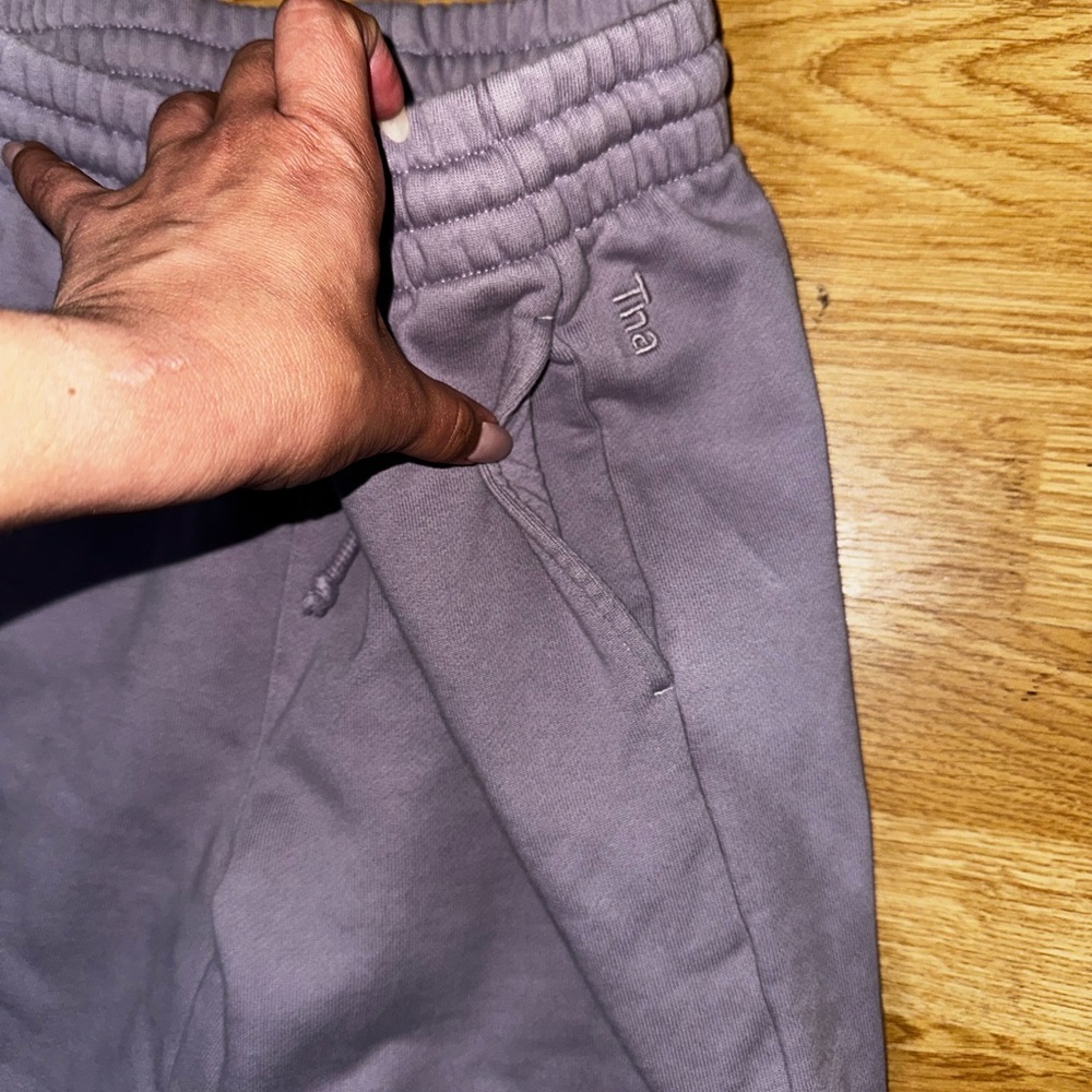 Aritzia TNA Extra Fleece Sweatpants - Picture 3 of 6